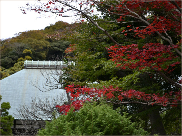 cu17-5-kamakura.jpg