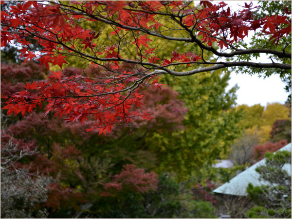 cu17-6-kamakura.jpg
