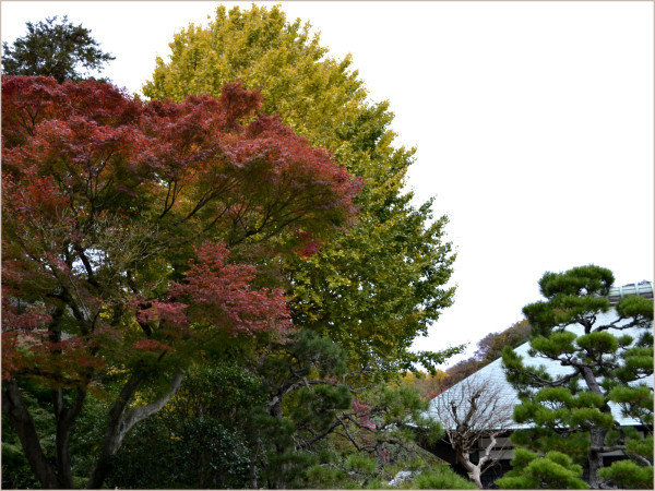 cu17-8-kamakura.jpg