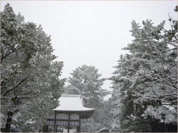 cu18-3-kyoto2010.jpg