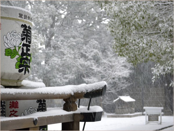 cu18-4-kyoto2010.jpg