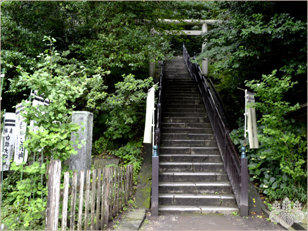 鎌倉『法華堂跡』に続く階段