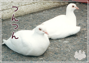 八幡大菩薩