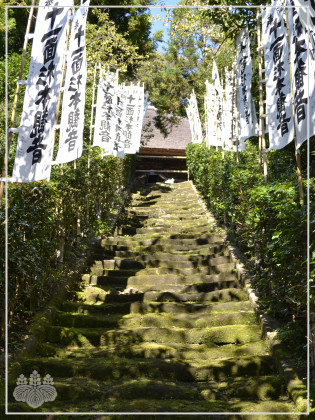 『杉本寺』