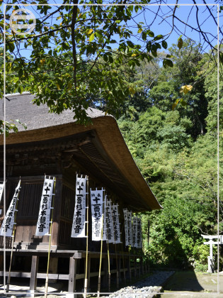 杉本寺と杉本城